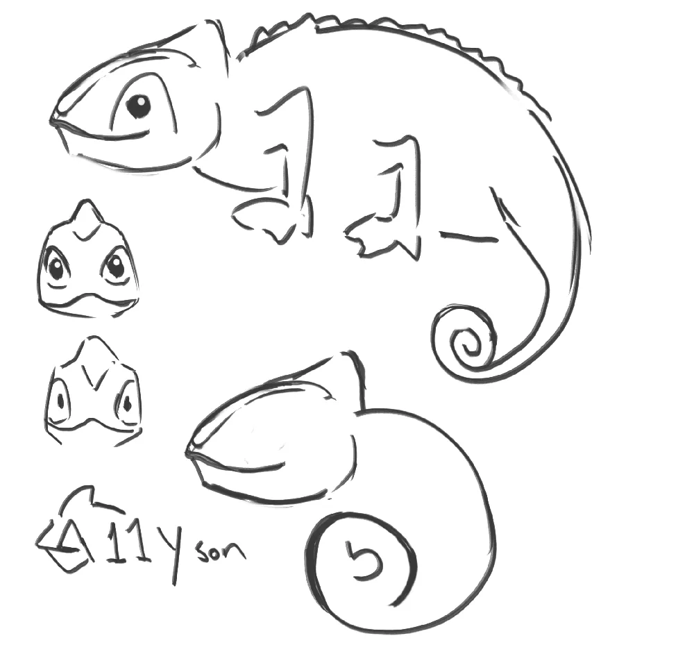 Several chameleon sketches